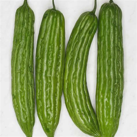 Ampalaya .